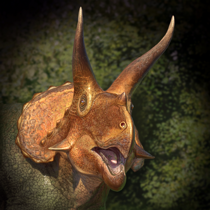 Triceratops Traits