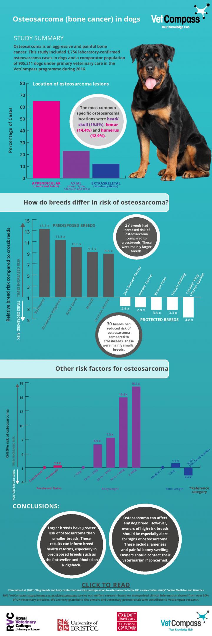 An infographic explaining the research