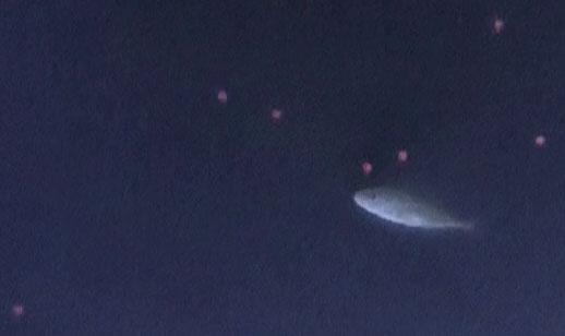 Stickleback before choosing a virtual prey to attack.