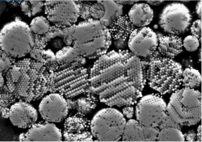 Magnetite framboids in Tagish Lake