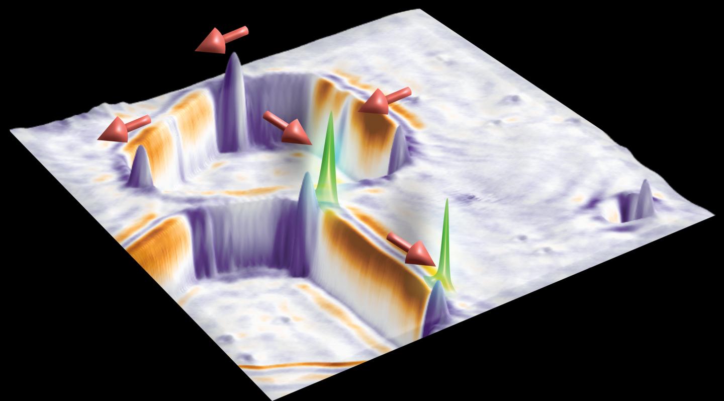 Majorana Quasiparticles Are Robust and Controllable
