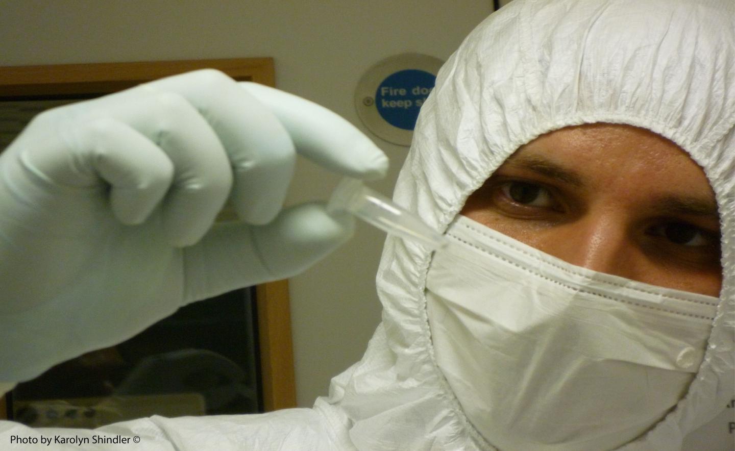 Linus Girdland-Flink