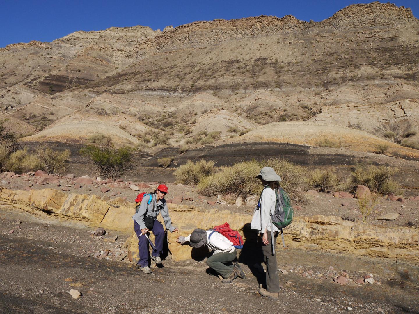 Field Team Examining Footprint