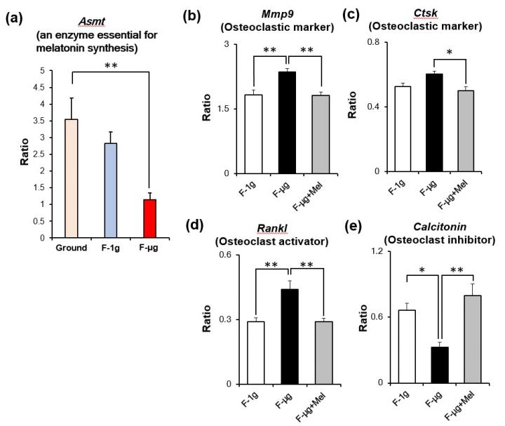 Figure 2: Suppression of Scale Melatonin-Synthesizing Enzyme in Space Flight