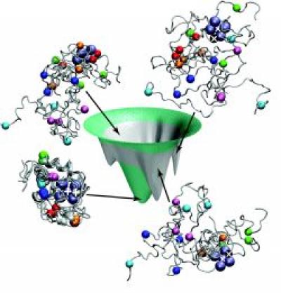 UCSD Model of Folding Energy Landscape for Cytochrome C