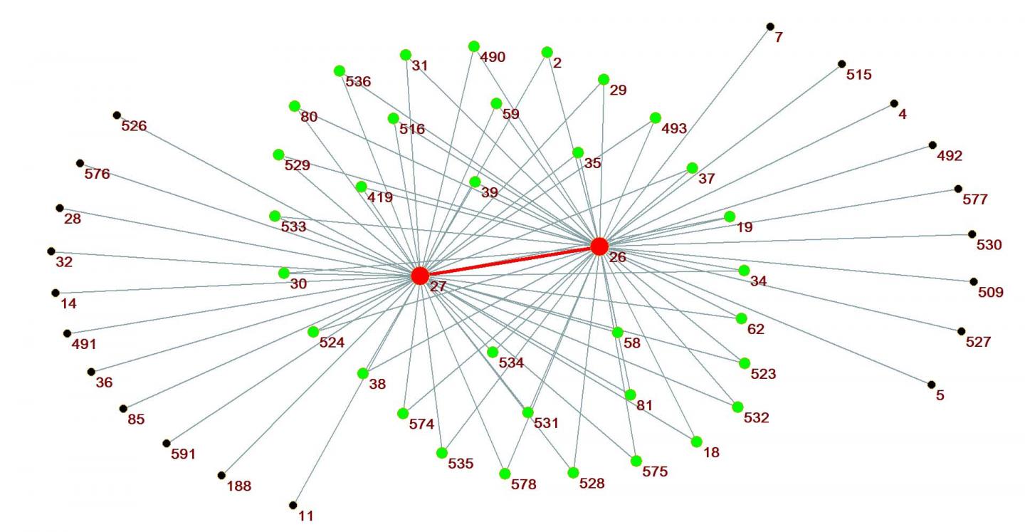 Cortical Region-5