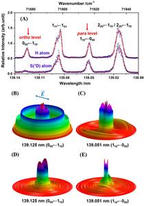 Rotational state dependent photodissociation dynamics of H2S molecules.