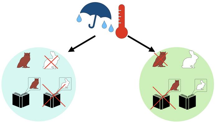 Biogeographical evidence shows trickster anim | EurekAlert!