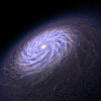 Simulated Spiral Galaxy