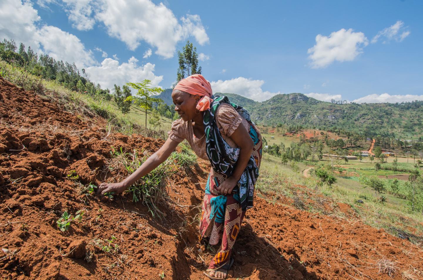 Woman farmer in Lushoto, Tanzania