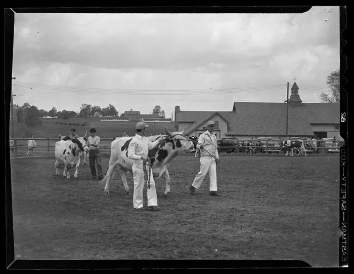 UConn Historic Dairy