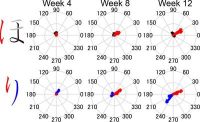 Progressive Differentiation of the Pen-Tip Movement of One Child