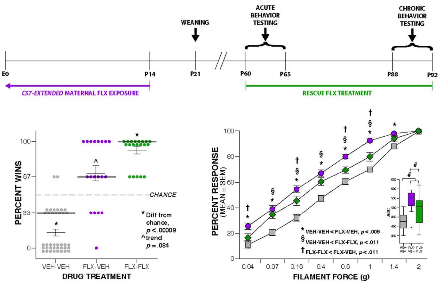 Antidepressant & Autism