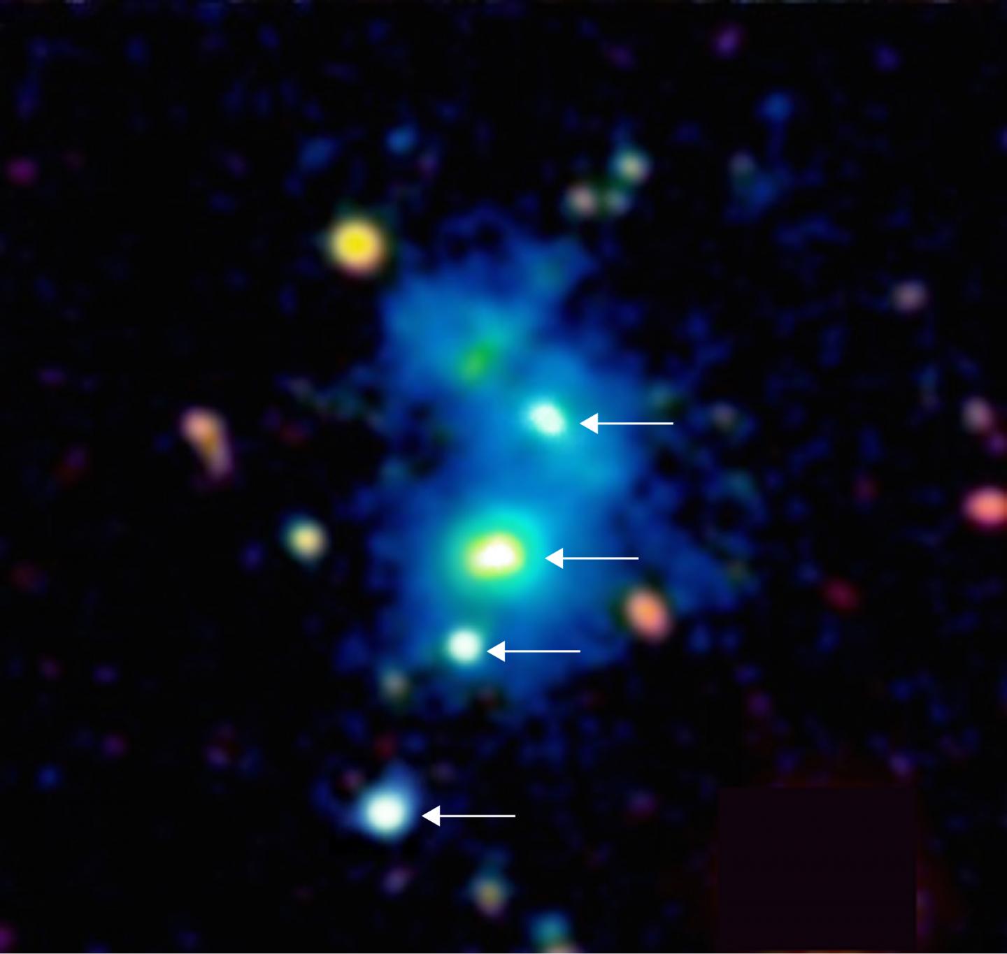 Quasar Quartet Discovered in Distant Universe