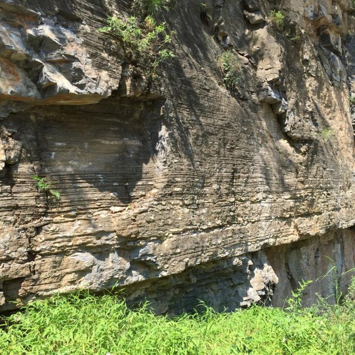 Terminal Ediacaran Carbonate Rocks