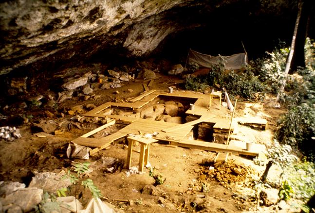 Ancient DNA from Cameroon