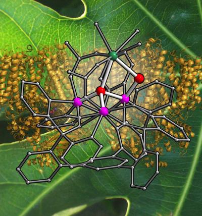 Investigating Photosystem II
