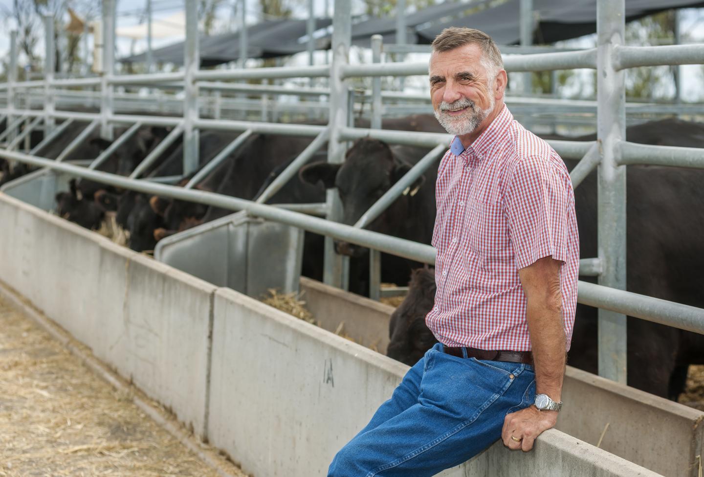 Stephen Moore, University of Queensland