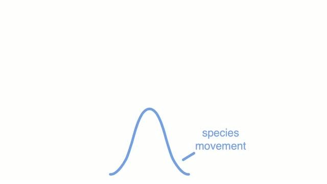 Bird Migration Climate Animation