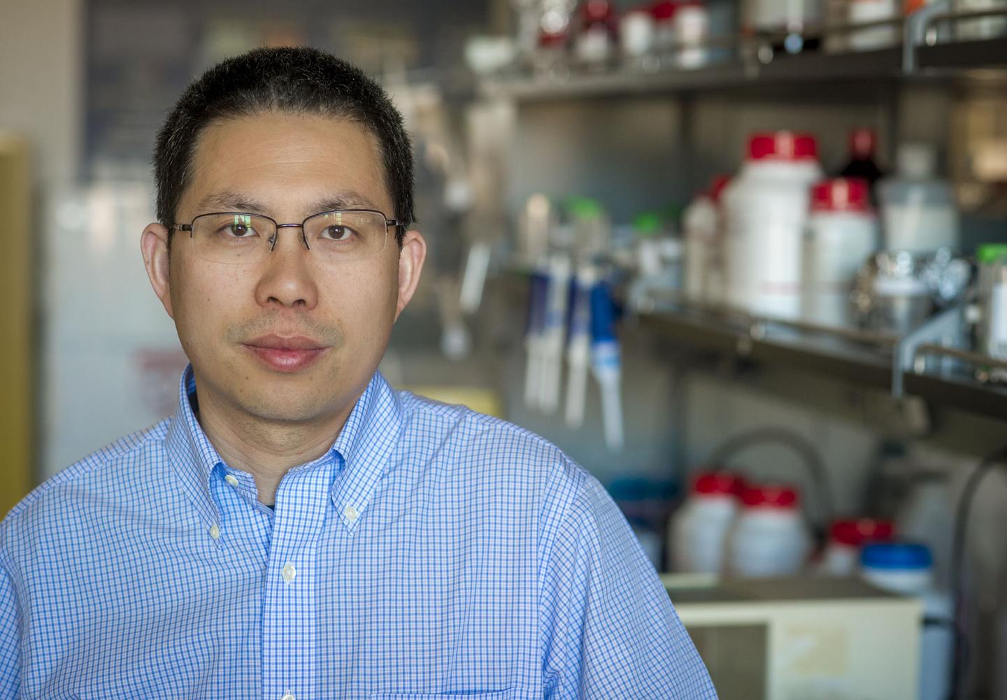YI Hong, University of Texas a [IMAGE] EurekAlert! Science News Releases