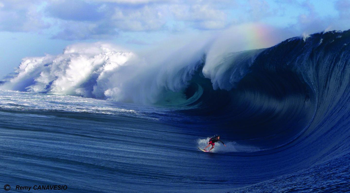 Coral Reef Structure Matters Most, for Keeping Tropical Coastlines Intact (7 of 8)