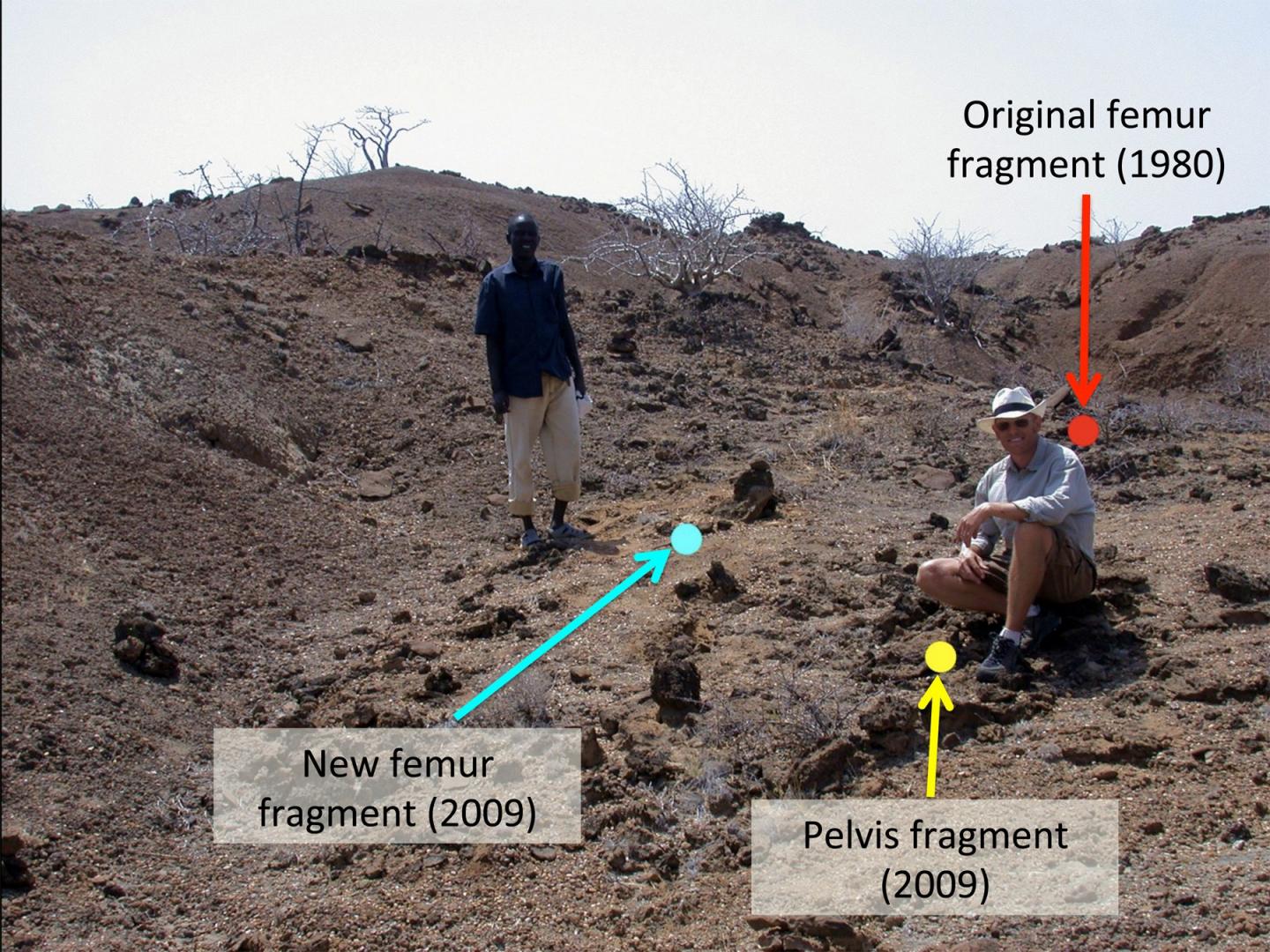 Koobi Fora Kenya Dig Site