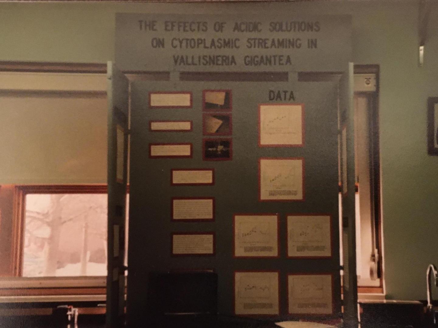 High school research project