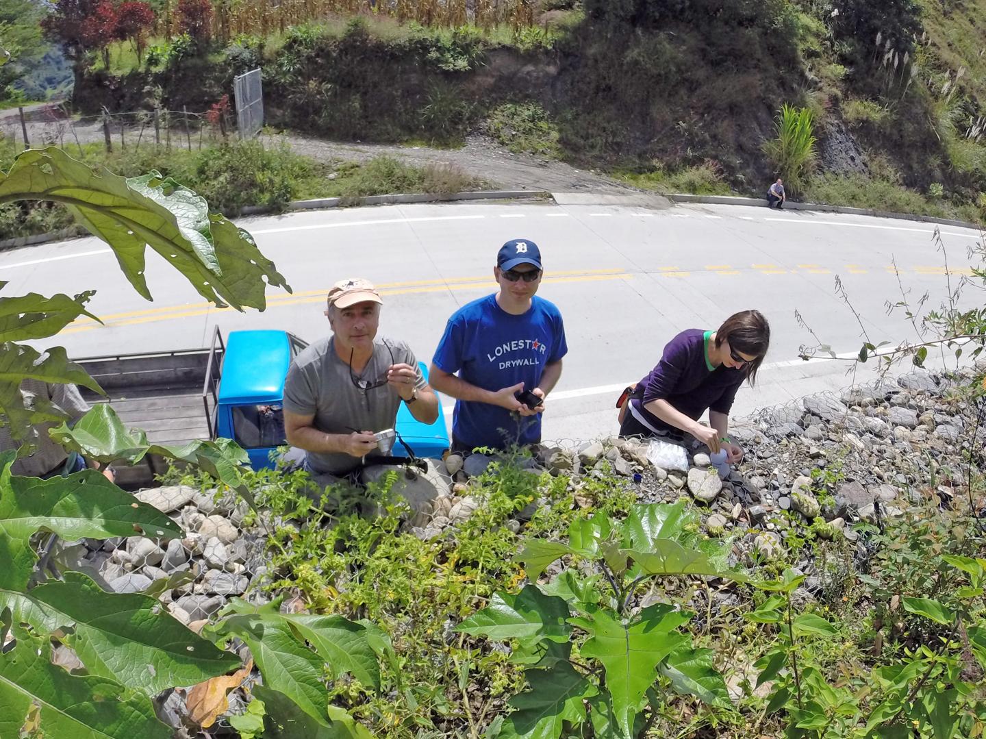 Tomato Hunt (2 of 2)
