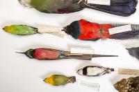 LSU Museum of Natural Science Bird Collection 2