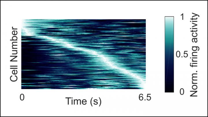 Human "Time Neurons" Encode Specific Moments in Time