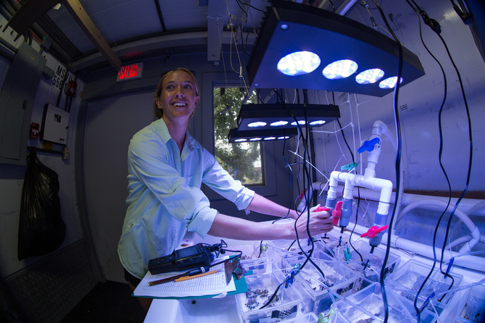 Maggie Johnson, Bocas del Toro Research Station
