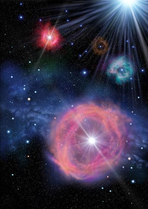 Stellar fossil: imprints of pair instability supernovae from very massive first stars