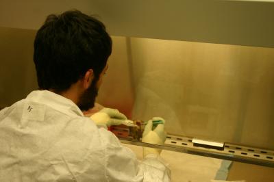 Daniel Streicker, University of Georgia (1 of 2)