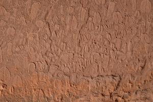 Animal tracks and human footprints in prehistoric hunter-gatherer rock art of the Doro! nawas mountains (Namibia), analysed by present-day indigenous tracking experts