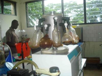 Traditional Medicine Research Lab -- Mampong, Ghana