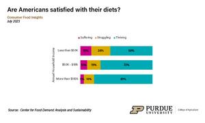American consumer satisfaction with their diets