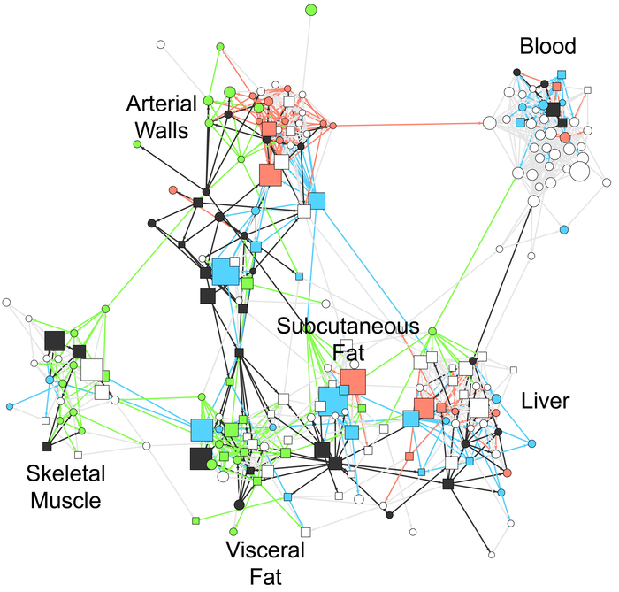 A Map of Coronary Artery Disease