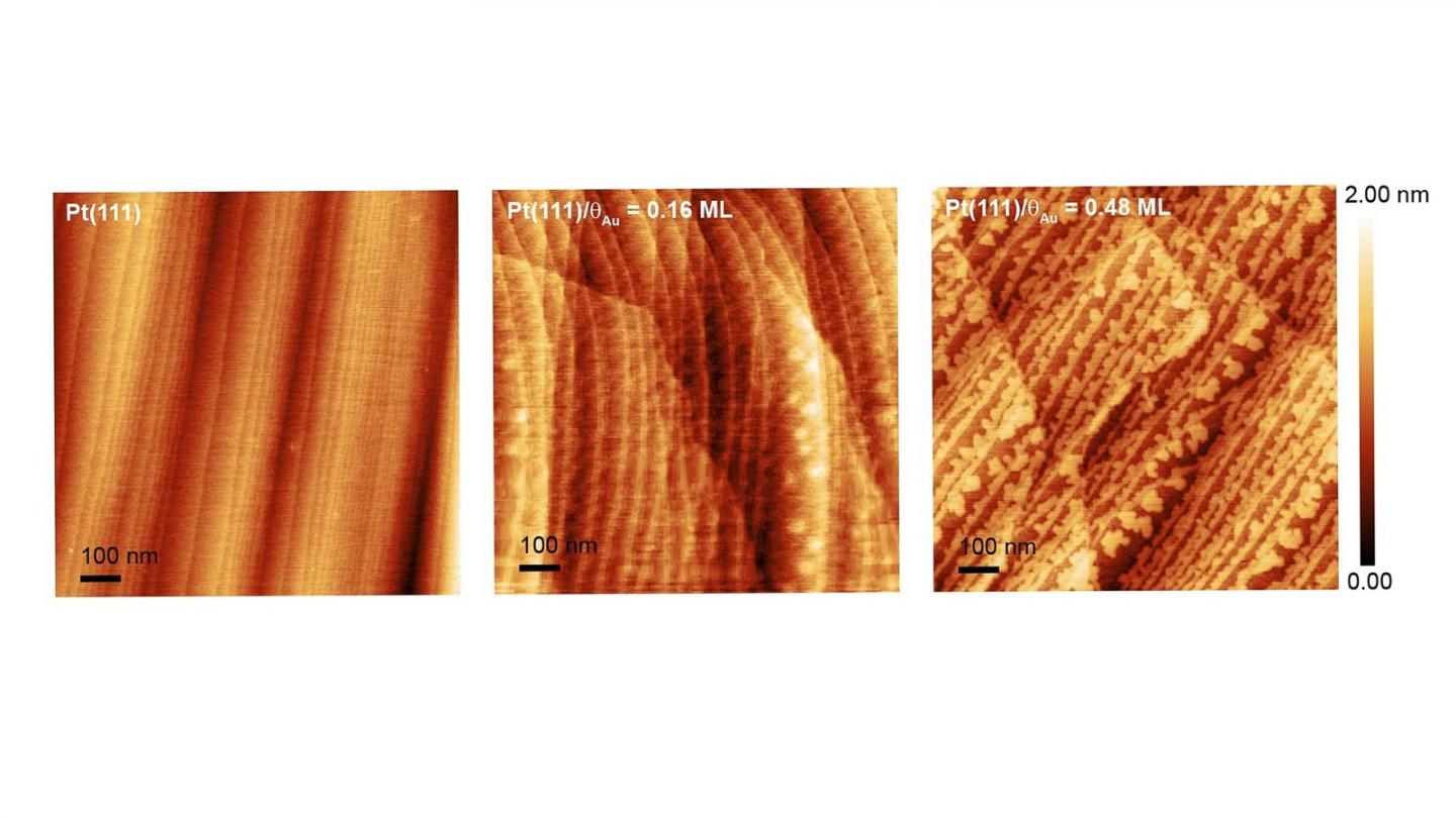 Atomic force microscopy images