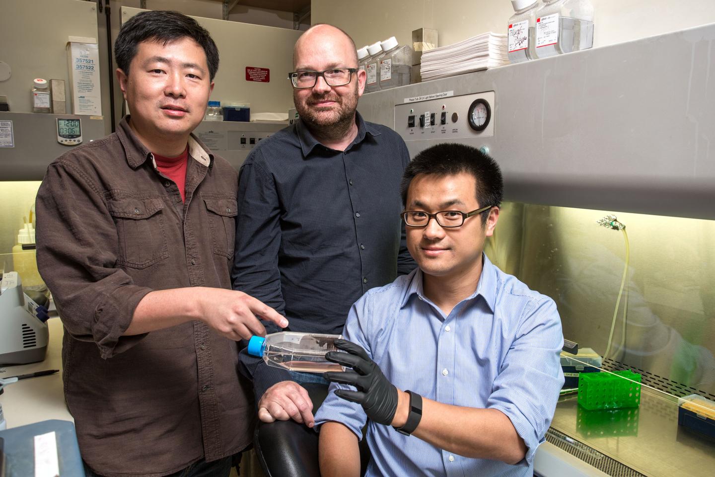 Hu Cang, Bj&amp;ouml;rn Lillemeier and Ying Hu