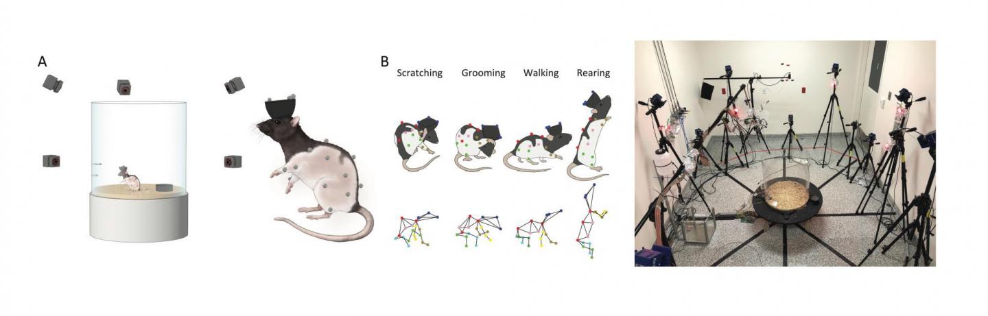 Illustration of CAPTURE technique and CAPTURE recording arena