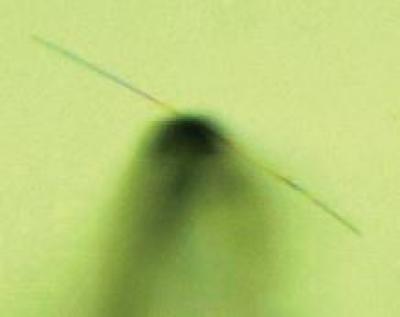 Nanowire in Water on a Substrate
