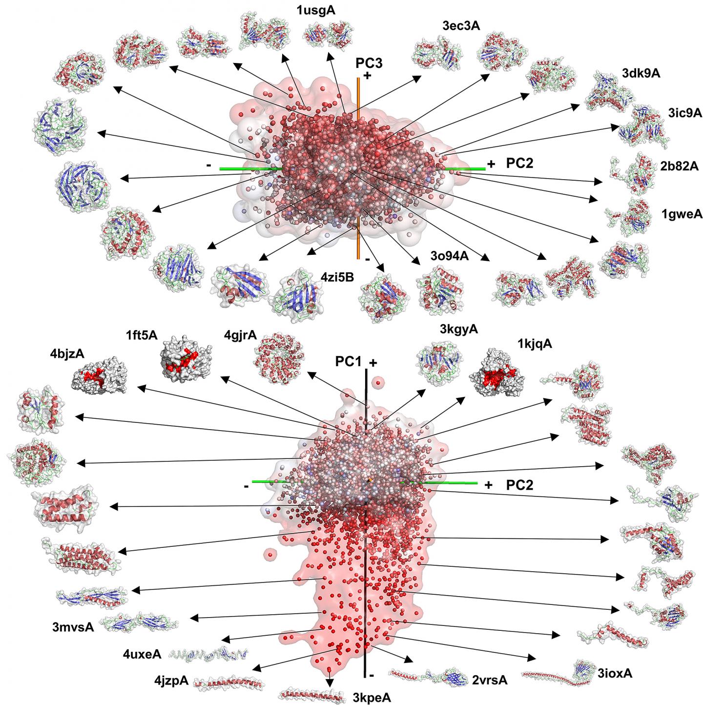 Purdue University Protein Mapping