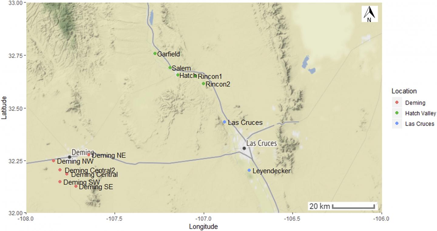 Site Location of Beet Leafhopper Sampling in Southern New Mexico