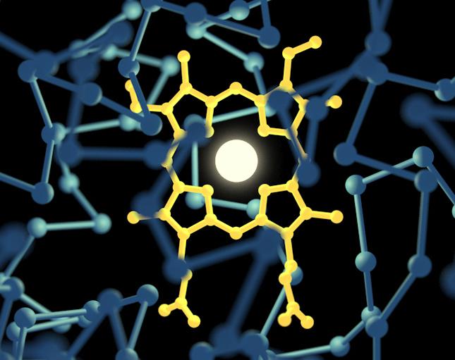 Engineering the P450 Enzyme to Perform New Reactions