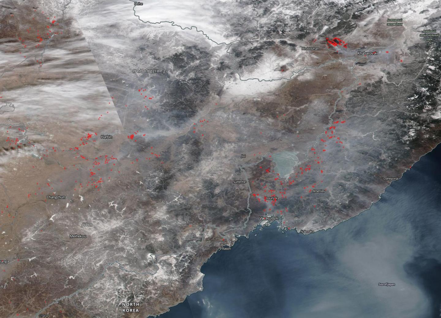 Wildfires in Russia Continue to Increase in Hotter, Drier Climate