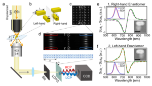 Polarization-dispersive imaging spectrometer for single nanostructure CD spectroscopy