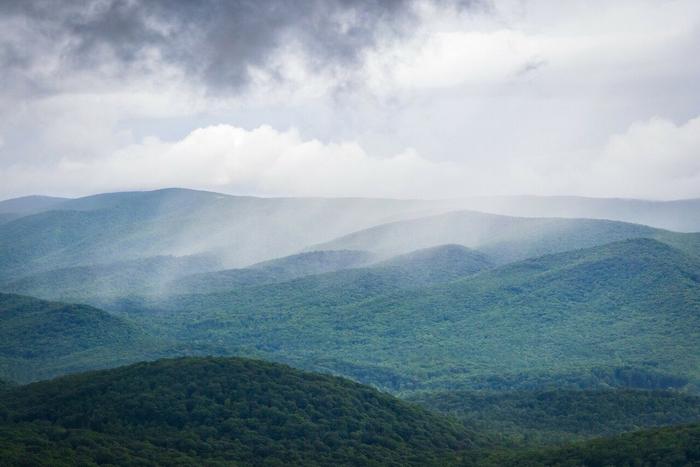 One of this year’s Whole Health Consortium seed grant projects focuses on developing an accessible, integrative treatment for chronic pain and opioid use disorder in Appalachia.