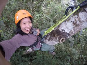 Ecologist Alison Ke high up in tree in Ecuador