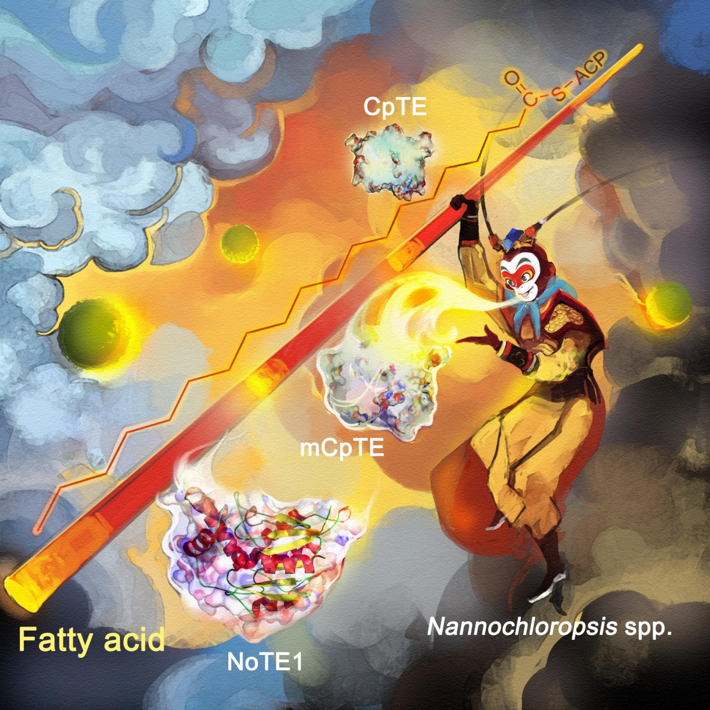 Length of fatty acid molecules can be tuned at will, just like the golden cudgel of Monkey King