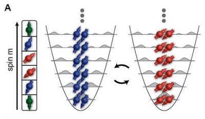 Sketch of Fermionic Many-Body Spin-Changing Dynamics